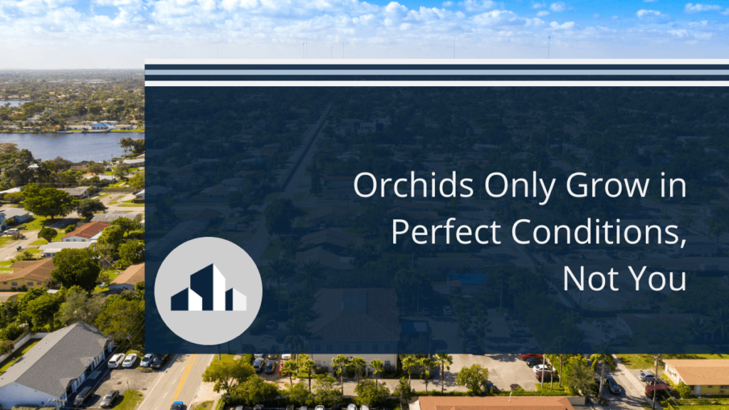 orchids-grow-perfect-conditions-not